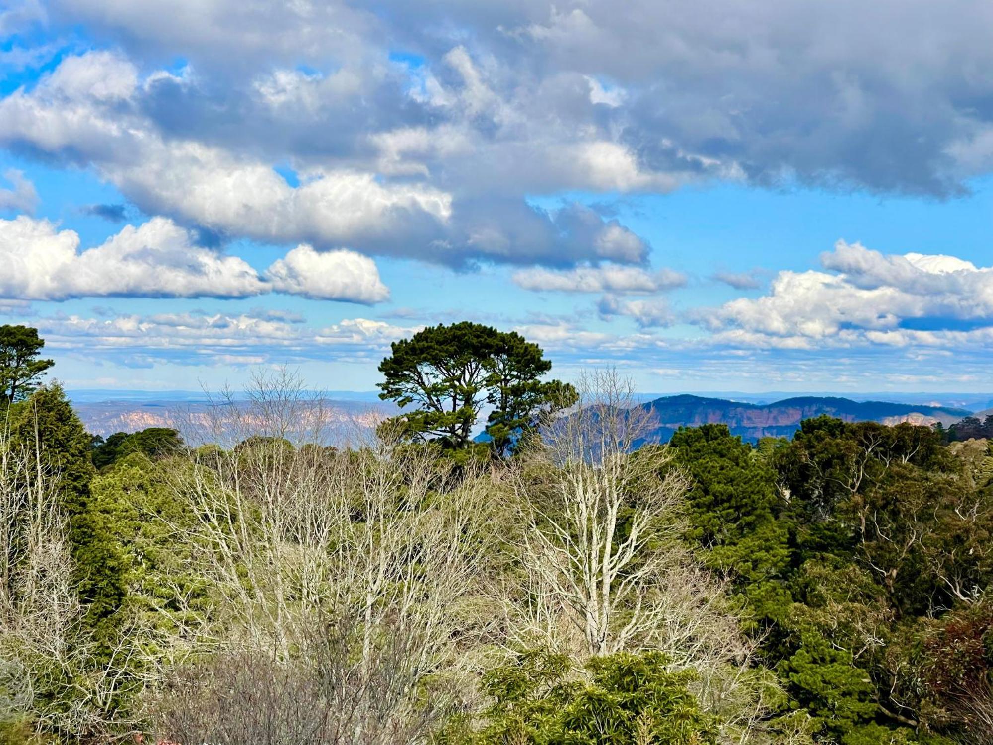 Treetops Retreat Katoomba Villa Exterior photo